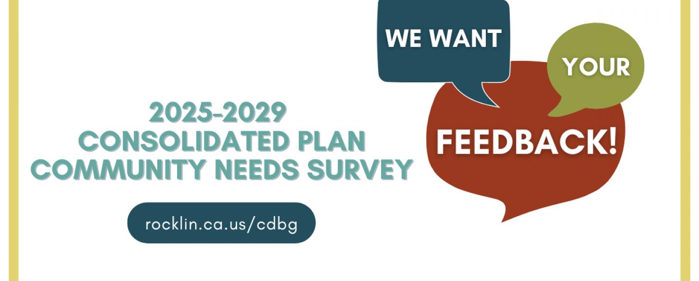 2025-2029 Consolidated Plan Community Needs Survey